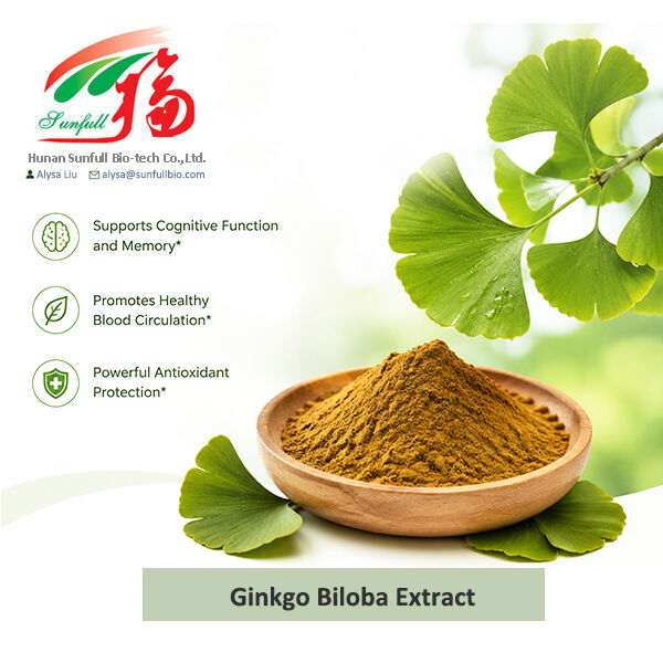สารสกัดจากใบแปะก๊วยธรรมชาติ ชนิดละลายน้ำได้ เกรด Cp/ USP/ Ep สำหรับอาหารเสริมและยา