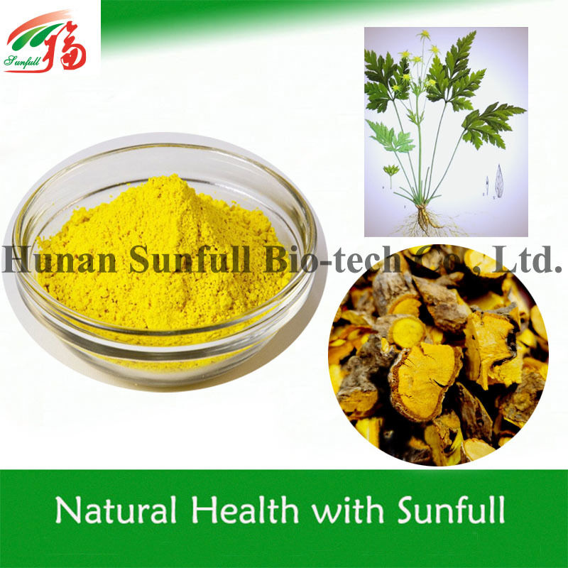 100% เบอร์เบอรีนธรรมชาติ hcl 97% 98% จากราก Coptis chinensis ที่มีหมายเลข CAS 633-65-8