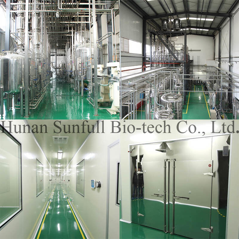 Eucommia Leaf Extract 5%-99% Chlorogenic Acid in Stock CAS 327-97-9