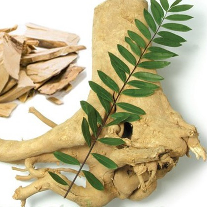 Anti Viral Eurycoma longifolia อาหารเสริม 2.5% Eurycomanone Eurycoma longifolia สำหรับการกู้คืนเมื่อยล้า