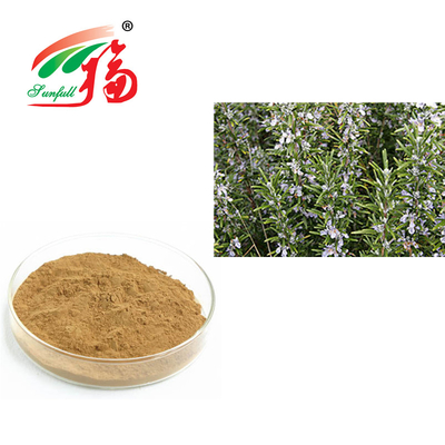 สารสกัดจากโรสแมรี่ 30% กรด Rosmarinic สำหรับการต่อต้านริ้วรอย Rosmarinus Officinalis