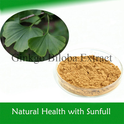สารสกัดจากกินโก้บิลอบา 100% ของธรรมชาติ