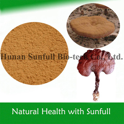 Reishi Ganoderma Extract 10% ~ 50% โพลิสาคาริดสําหรับการปรับปรุงภูมิคุ้มกัน