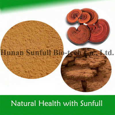 อาหารสุขภาพคุณภาพสูง Ganoderma Lucidum สารสกัด Reishi Powder