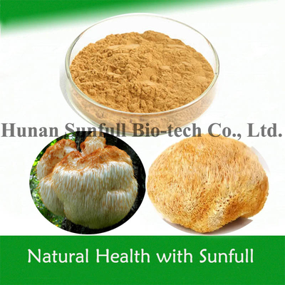 Hericium Erinaceus พาวเดอร์ สารสกัดจากหอยสิงโต สําหรับอาหารเพื่อสุขภาพ