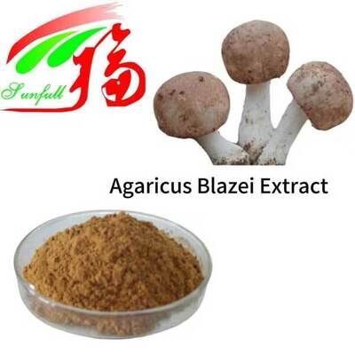 Agaricus Blazei Extract Powder Mushroom Extract Polysaccharides 10%-40%