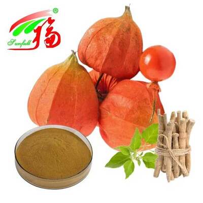 สารสกัดจากรากแอชวากันดา (Withania Somnifera) จากแอฟริกาใต้ วิทาโนไลด์ 5% ผลิตภัณฑ์เพื่อสุขภาพอาหาร