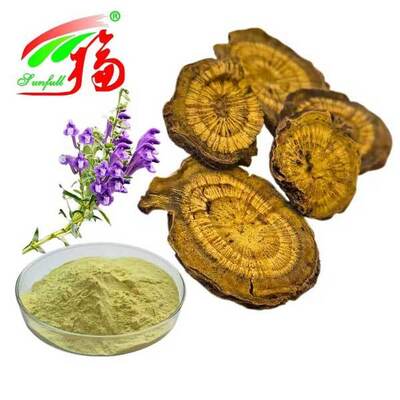 สารสกัดการดูแลสุขภาพ 10% ~ 95% Baicalin Baicalein Powder Scutellaria baicalensis Georgi สารสกัด Radix Scutellariae สารสกัด Baikal Skullcap Extract