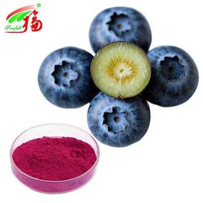 สารสกัดบลูเบอร์รี่ผง Vaccinium Uliginosum L แอนโทไซยานิดิน 5% -25%