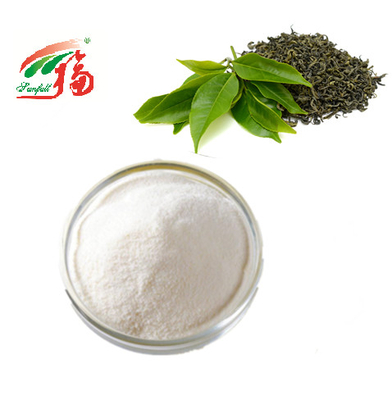 KOSHER Green Tea Extract Powder 98% EGCG Epigallocatechin Gallate สำหรับเครื่องสำอาง
